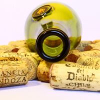 Wine Bottling Tasting - Vacay Whitefish Montana